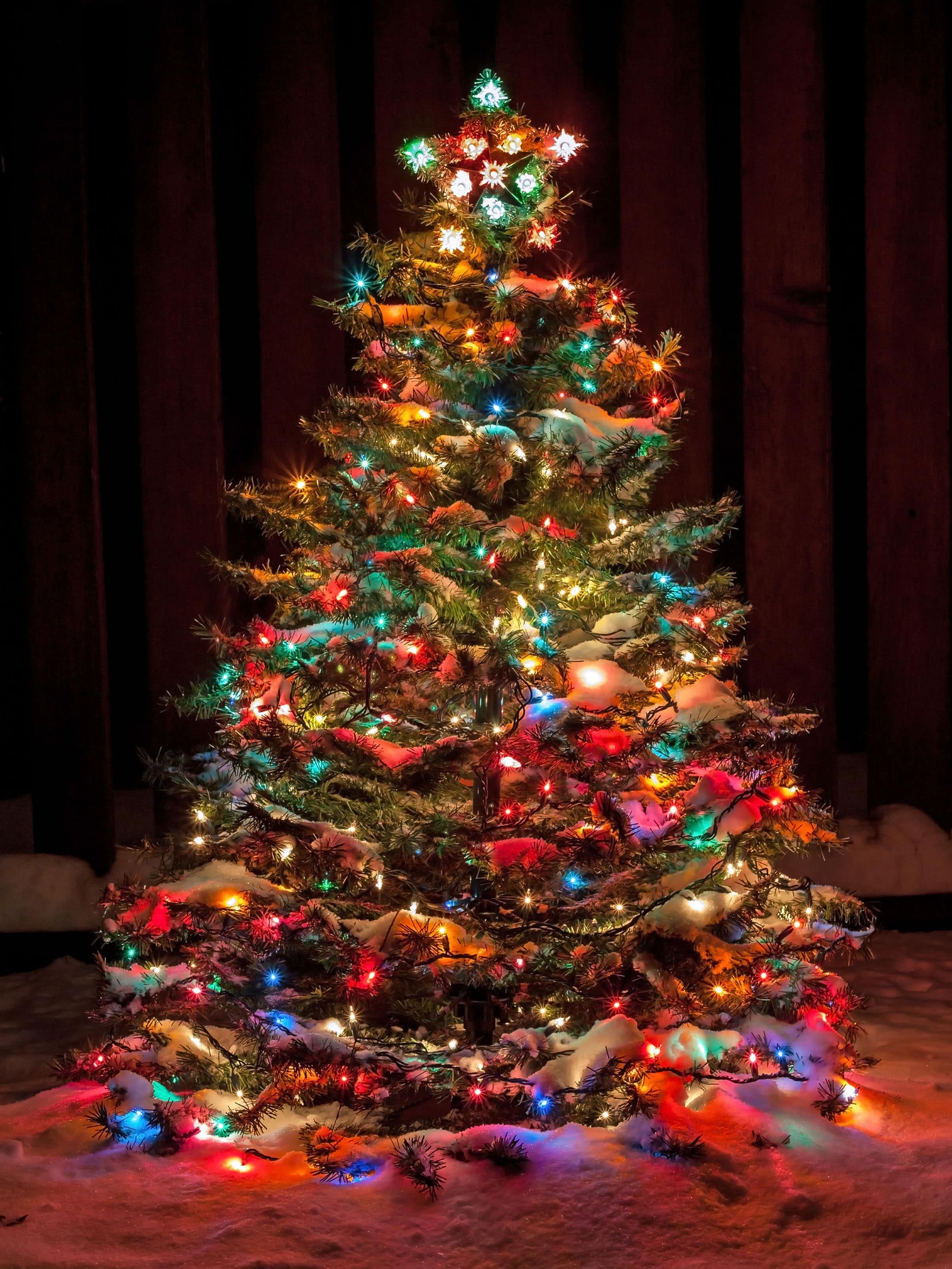 Colorful Christmas lights on a decorated tree featured by Christmas Lane